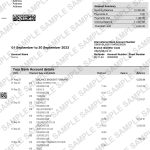 HSBC bank statement template