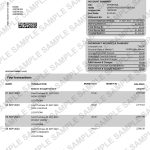 Metro bank statement template