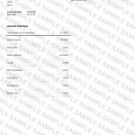 Revolut bank statement template