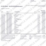 Starling Bank Statement template