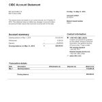 CBIC Bank Statement Template