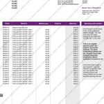 Permanent TSB Bank Statement Template