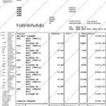 Royal Bank of Canada Bank Statement Template