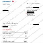 Bank of America Bank Statement Template