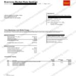 Wells Fargo Bank Statement Template